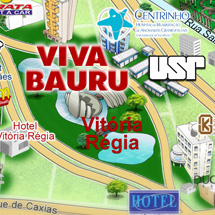 Ilustração 2D Pocket Map Bauru